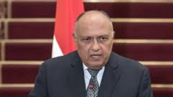 سامح شكري وزير الخارجية