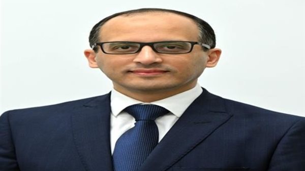 المستشار محمد الحمصاني