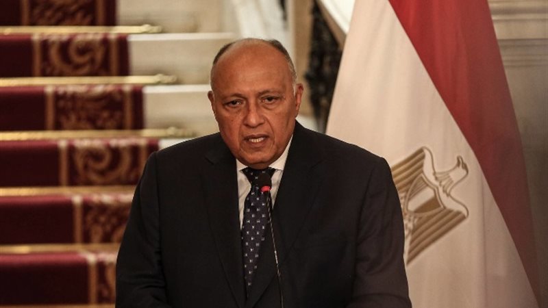 سامح شكري وزير الخارجية