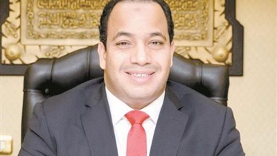 عبد المنعم السيد: وثيقة سياسة ملكية الدولة تسير ببطء شديد