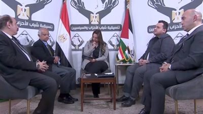 السفير حسين هريدي: القضية الفلسطينية في صميم الأمن القومي المصري