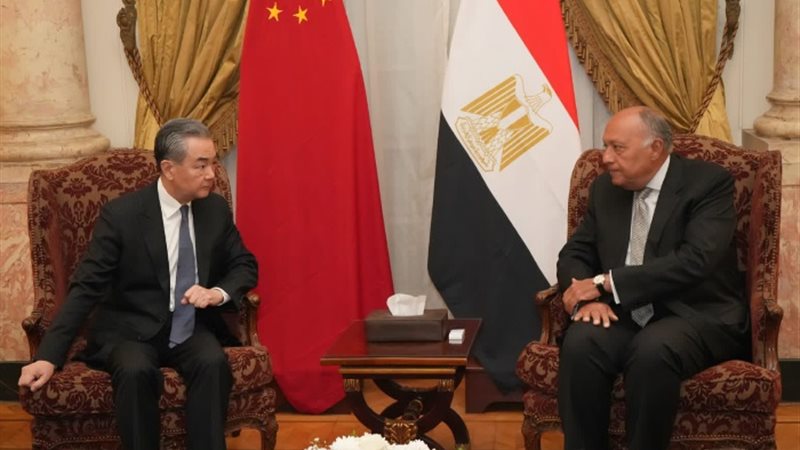 وزير الخارجية المصرية سامح شكري