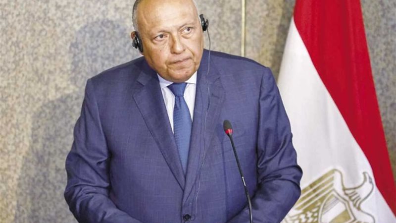 سامح شكري وزير الخارجية