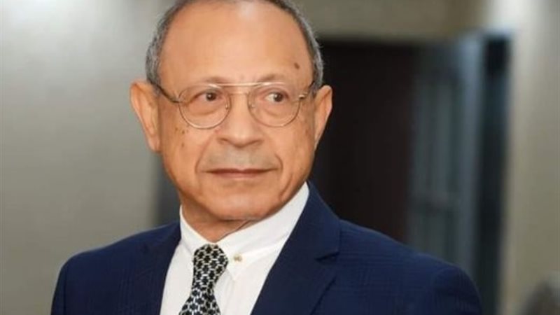رئيس حزب الحركة الوطنية المصرية