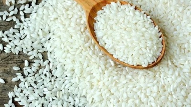 سعر الارز اليوم،