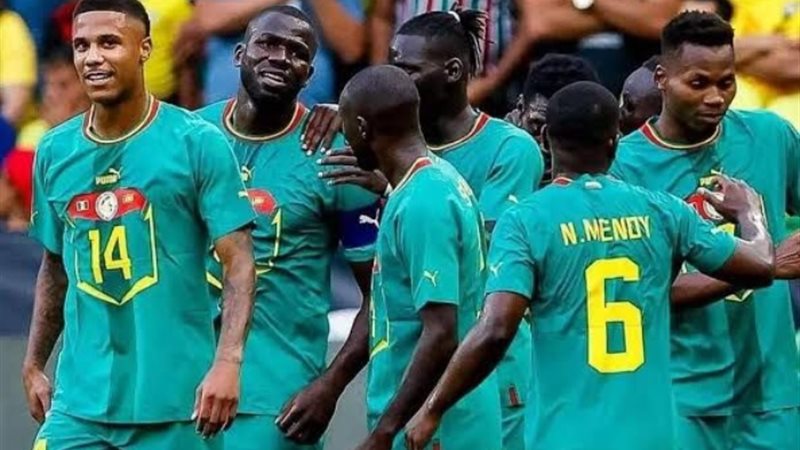 كاس امم افريقيا