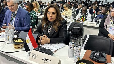 وزيرة التنمية المحلية: التمويل المناخي القادم يجب أن يلبي احتياجات الدول النامية