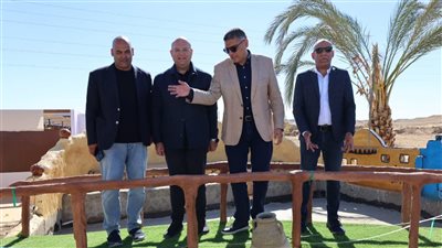 «الجيزة»: نسعى للظهور بأبهى صورة أمام زوار مهرجان التمور الدولي
