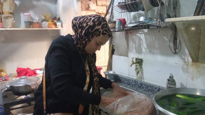صحة المنيا 