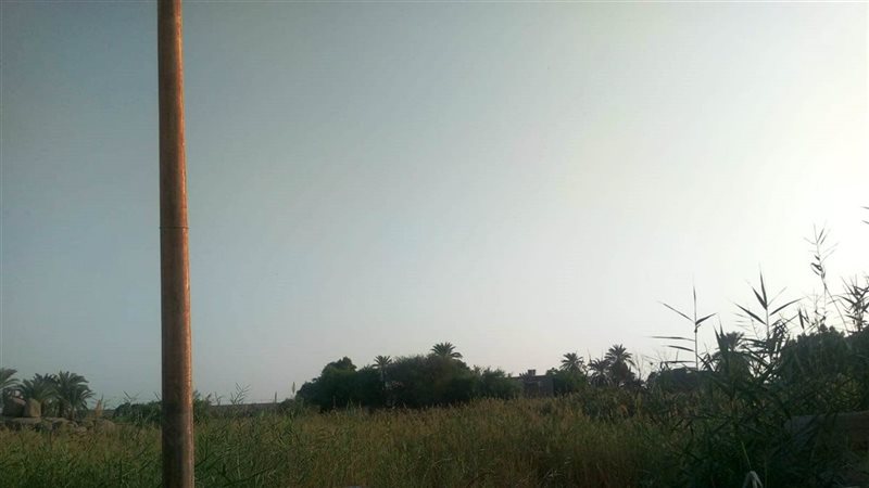 أرض زراعية