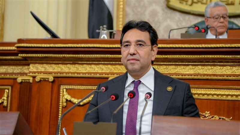الدكتور أيمن محسب ، عضو مجلس النواب