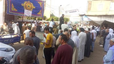 انتخابات النواب 2025..  حضور لافت لكبار السن والسيدات في لجان كوم حمادة 