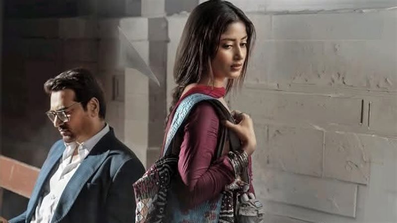 المسلسل الباكستاني “الحسناء والعاصي”