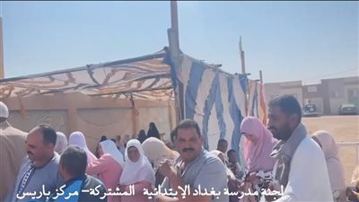 طوابير ممتدة وإقبال نسائي لافت بلجان الوادي الجديد والفرافرة