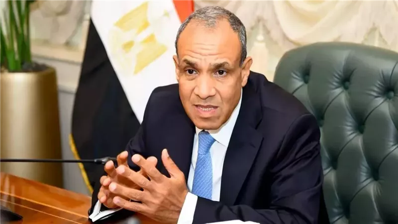 الدكتور بدر عبد العاطي، وزير الخارجية المصرية 