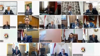 20 دائرة.. انطلاق تصويت المصريين بالخارج فى انتخابات النواب بالدوائر الملغاة