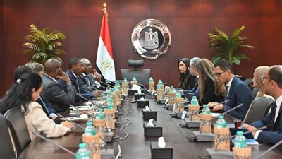 مصر وستاندرد بنك يبحثان تعزيز التعاون الاستثماري والتكامل الاقتصادي مع أفريقيا