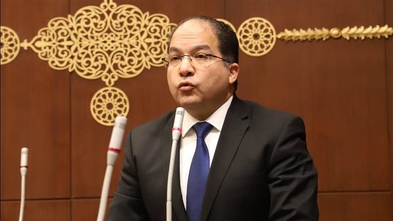  النائب عادل اللمعي، عضو مجلس الشيوخ 