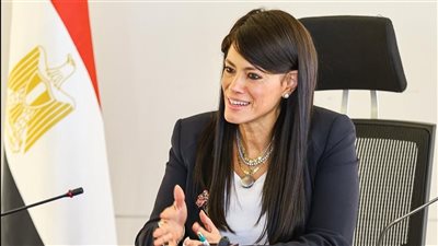 المشاط: 60% من الاستثمارات في مصر يقودها القطاع الخاص 