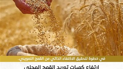 ارتفاع توريد القمح المحلي بنسبة 17% الموسم الماضي ليتجاوز 4 ملايين طن
