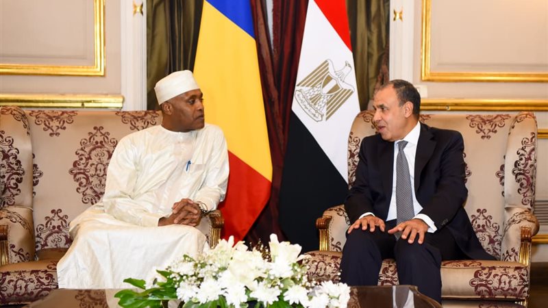 وزير الخارجية المصري ونظيره التشادي 