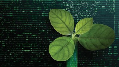 تكامل دولي لدعم تحول الصناعة المصرية.. برنامج بقيمة مليار دولار عالميًا