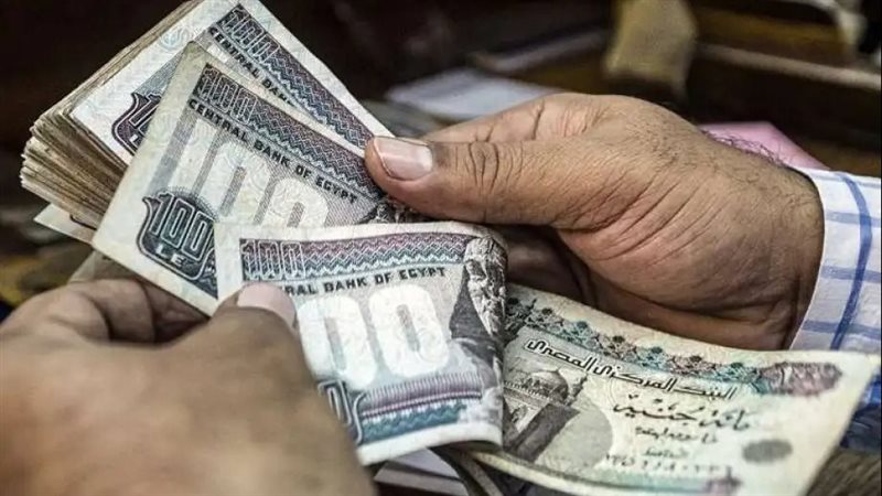 طريقة الاستعلام عن المعاش إلكترونيًا
