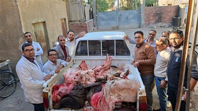 ضبط جزار قبل بيع لحوم جاموسة مريضة بسوهاج