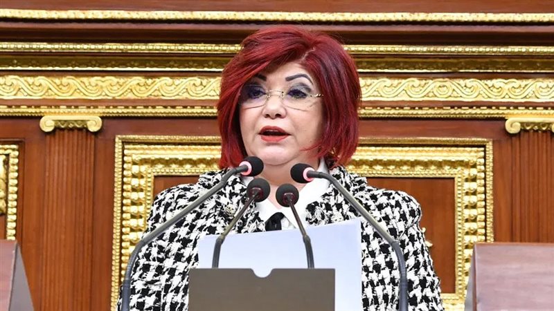  النائبة نورا علي رئيس لجنة السياحة بمجلس النواب