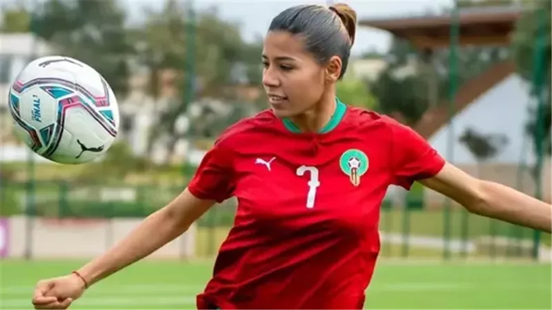 غزلان الشباك