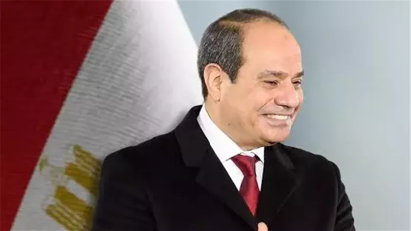 الرئيس السيسي 