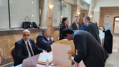 أبناء الجالية المصرية بجدة يتوافدون على لجان التصويت بانتخابات مجلس النواب للمرحلة الثانية
