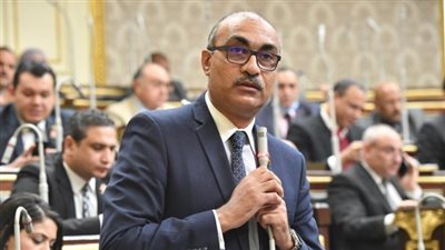 برلماني يهاجم الحكومة: ملف تعويضات نزع الملكية مخالفة صريحة للدستور