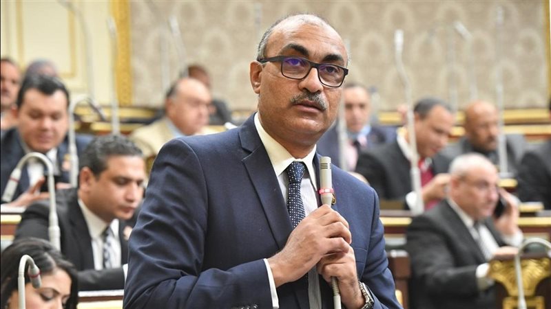 النائب إيهاب منصور، وكيل لجنة القوى العاملة