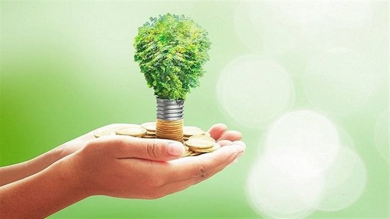 المشروعات الخضراء  