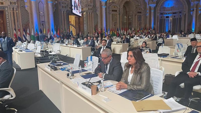 الدكتورة منال عوض وزيرة التنمية المحلية