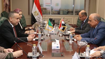 مصر والجزائر تعززان شراكتهما في الطاقة المتجددة.. اتفاقات للتدريب وتوطين التصنيع والتحول الطاقي