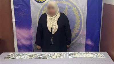 كشف ملابسات إحباط واقعة تلاعب بالأصوات مقابل مبالغ مالية بالقاهرة