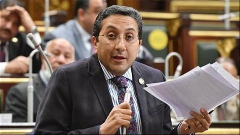 الدكتور إيهاب رمزى عضو مجلس النواب وأستاذ القانون الجنائى