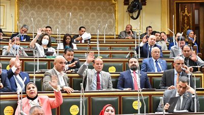 سؤال فى النواب لتكليف المحافظين بالتفاعل مع مشكلات المواطنين
