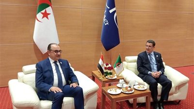 تعزيز الشراكة بين مصر والجزائر بمجال الأدوية ودعم الأمن الصحي في أفريقيا