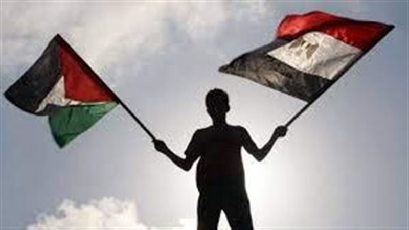 ارشيفية