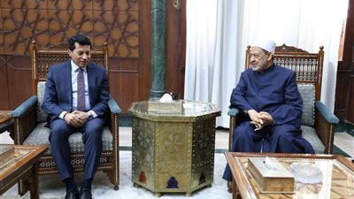 شيخ الأزهر يشدِّد على ضرورة تحصين الشَّباب العربي من مخاطر الغزو الثقافي 