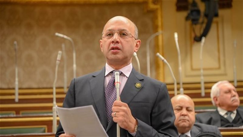  النائب هشام حسين، عضو مجلس النواب
