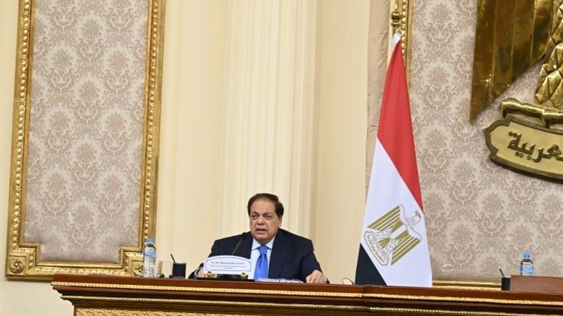 محمد أبو العينين