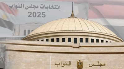 ضوابط جديدة لإدلاء الناخب بصوته.. إجراءات قانونية لضمان نزاهة التصويت