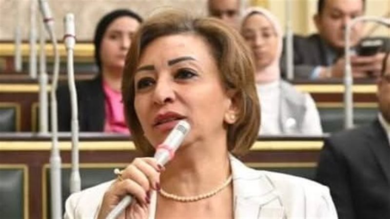  مها عبد الناصر، عضو مجلس النواب