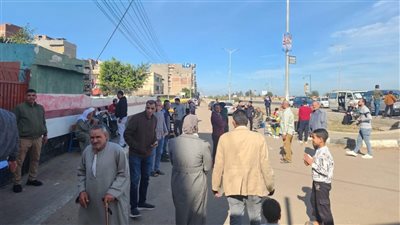 إقبال كثيف في لجان دمنهور مع بدء التصويت بانتخابات مجلس النواب