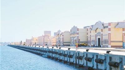 باستثمارات 900 مليون جنيه.. مشروعات قومية تغير وجه الحياة في محافظة البحيرة