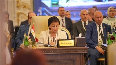 نائب وزير الصحة تشارك في الدورة السابعة للمجلس العربي للسكان والتنمية